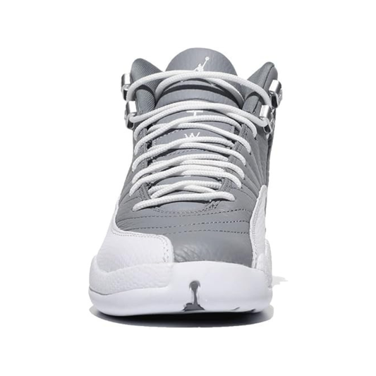 Nike Air Jordan 12 Retro Stealth Sneakers