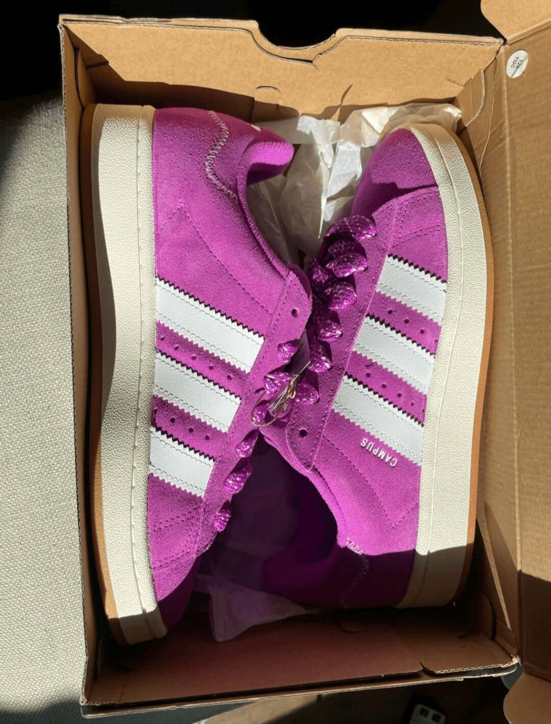 Adidas Campus 00s Women’s Sneakers in Purple Burst color with suede upper and classic design in box.