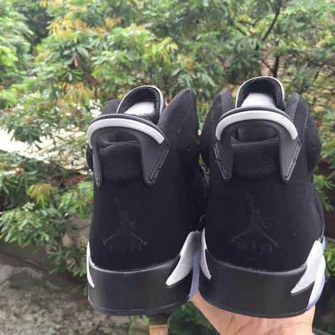 AJ 6 Retro Metallic Silver Shoes Women's Sneakers – Nk0002328