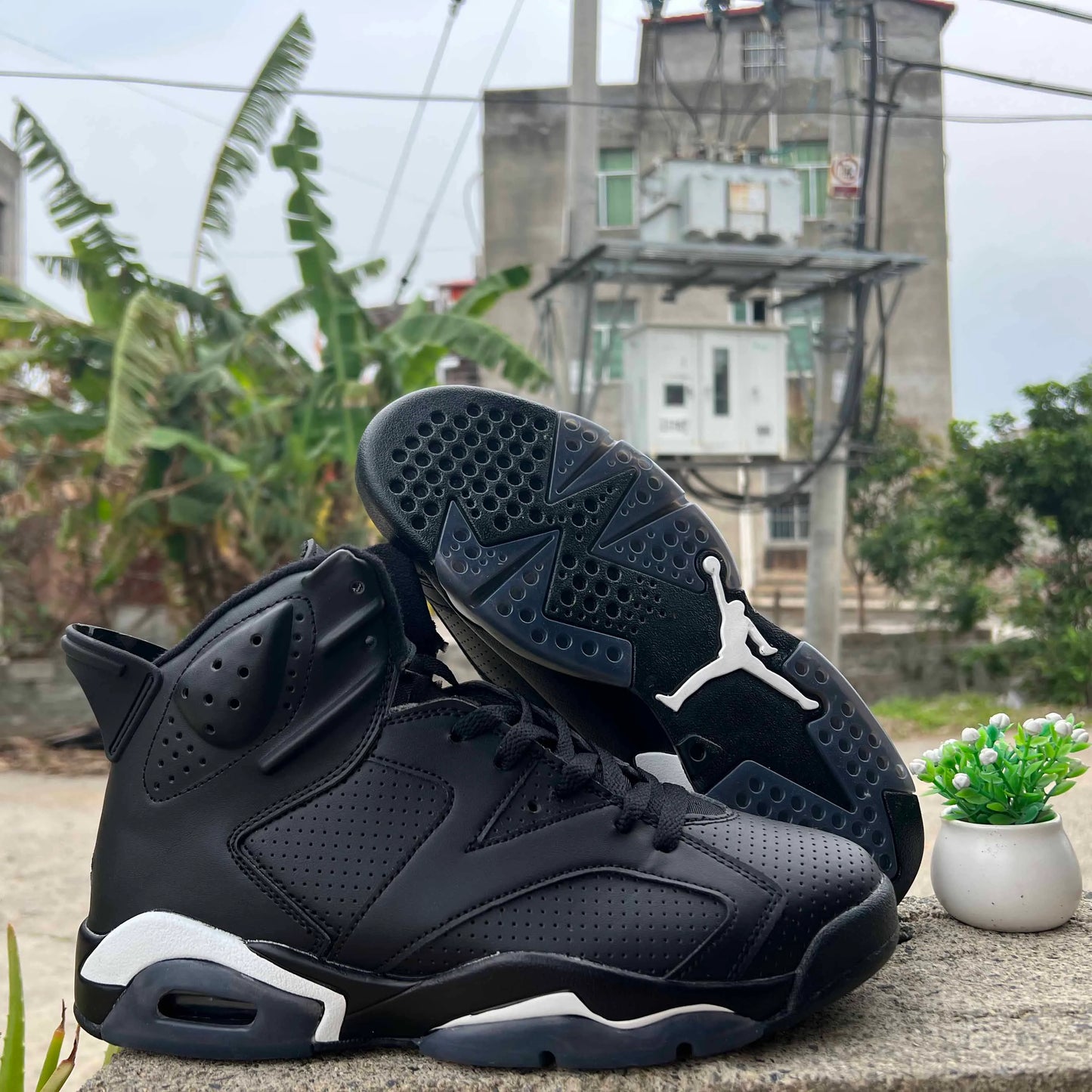 Aj 6 Black Cat Shoes Men'S Sneakers – Nk0003840